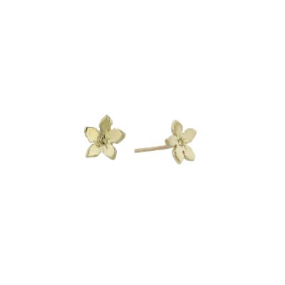 9ct. Yellow Gold Gentian Burren Flower Earrings