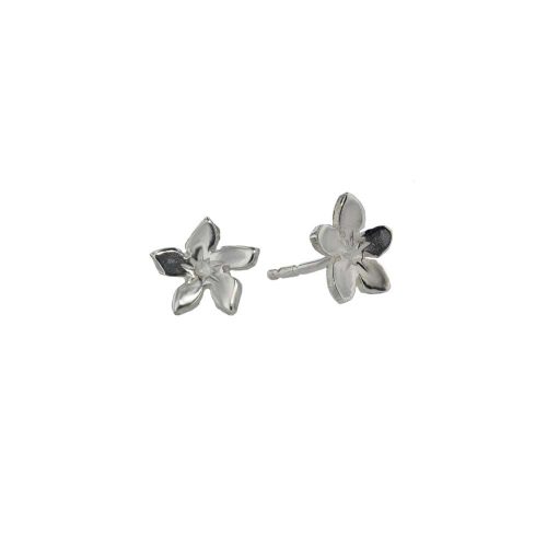 Burren Collection Sterling Silver Gentian Small Burren Flower Earrings