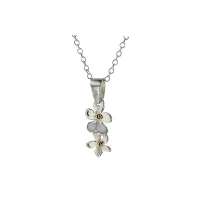 Burren Flower Pendant with 9ct. Gold Beads