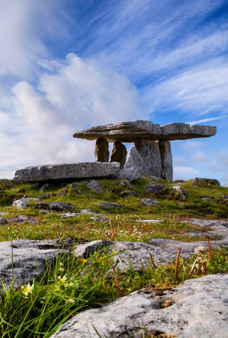 Our Burren Collection